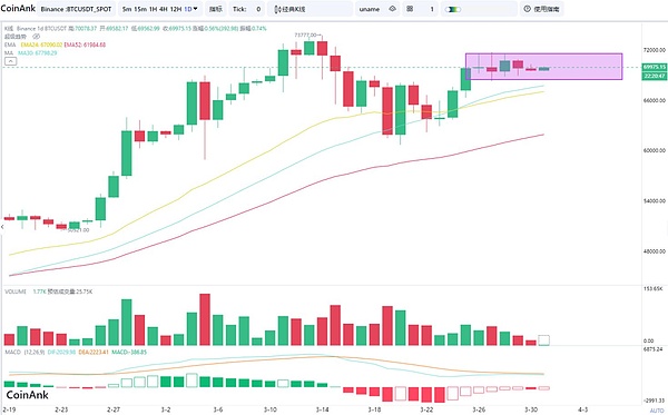 Impactopia创始人Aurora DUAN：用科技重新定义慈善的未来