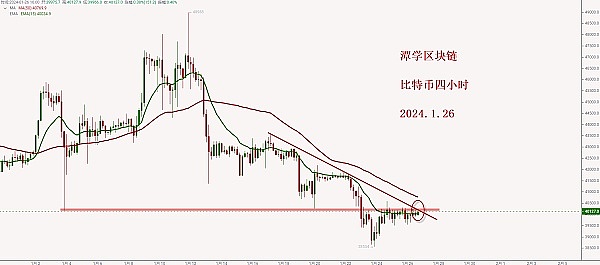 我在币圈的跌宕岁月：一位普通投资者的血泪教训