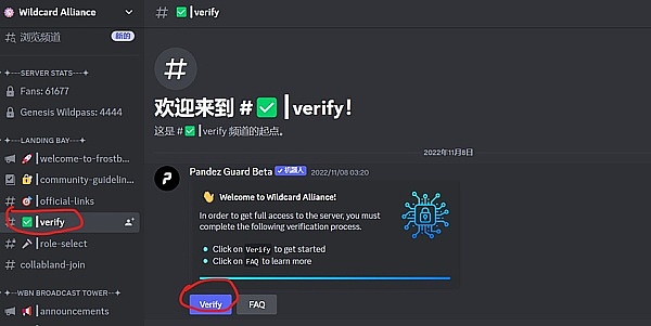 当北京遇见香港：两座城市的Web3革命之路
